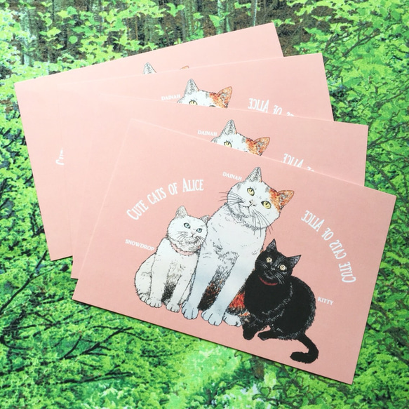 アリスのかわいい猫たち ポストカード４枚セット 5枚目の画像