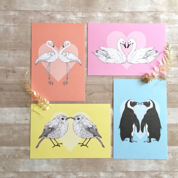 鳥たちのポストカードセット LOVE BIRD CARD SET 1枚目の画像