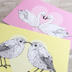 鳥たちのポストカードセット LOVE BIRD CARD SET 2枚目の画像