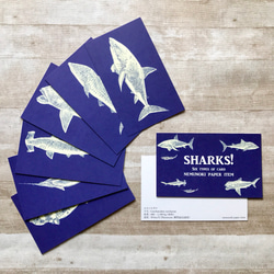 Sharks!ミニカードセット 1枚目の画像