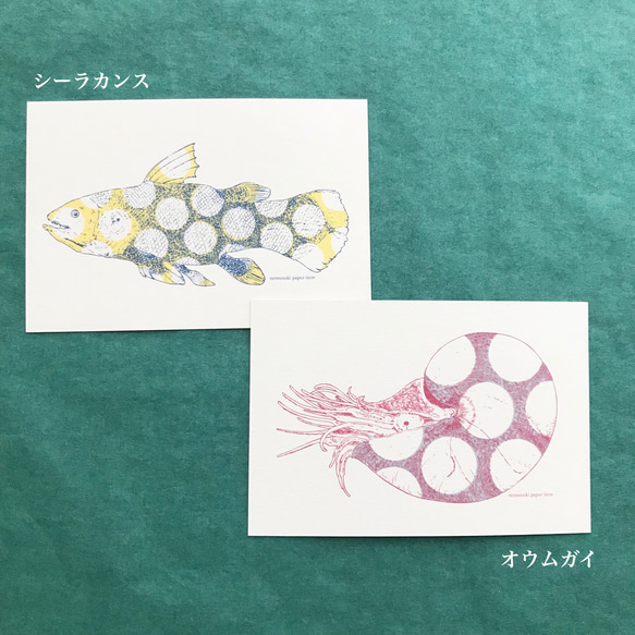 水玉海洋生物 絵葉書5枚セット 2枚目の画像