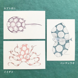 水玉海洋生物 絵葉書5枚セット 3枚目の画像