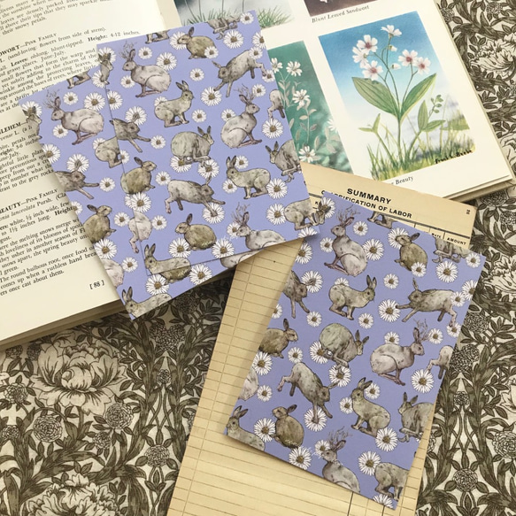 野うさぎとひなぎく ポストカード3枚セット 1枚目の画像