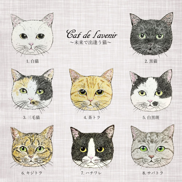 【受注生産】えらべる猫のタブレットケース（ピルケース） 5枚目の画像