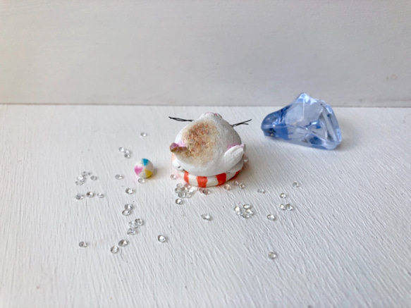 帶浮環，放鬆貓白茶虎 第3張的照片