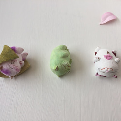 春の和菓子みたいな猫さん 4枚目の画像