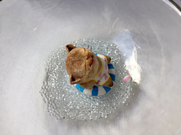 浮き輪猫さん〜キジトラ〜 3枚目の画像