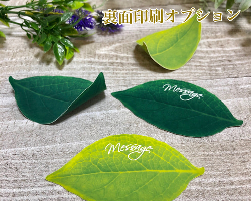 ただの葉っぱさん専用 1_81351b1101ac85216c8ab86571e8