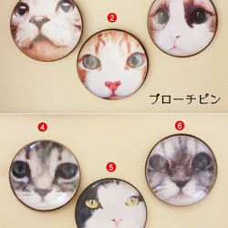 ガラスヘアゴム＆ブローチピン3：アニマルフェイス柄猫(選べる金具)アクセサリ 2枚目の画像