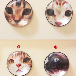 ガラスヘアゴム＆ブローチピン3：アニマルフェイス柄猫(選べる金具)アクセサリ 4枚目の画像