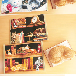 8種・本と猫柄がま口カードケースカバー見開き型 6枚目の画像