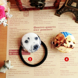 犬柄Ｌ円型ヘアゴム＆ブローチ4(選べる金具)はんぱ布雑貨アクセ 3枚目の画像