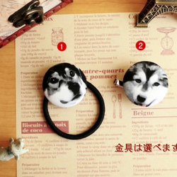 犬柄Ｌ円型ヘアゴム＆ブローチ5(選べる金具)はんぱ布雑貨アクセ 2枚目の画像