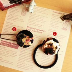 犬柄Ｌ円型ヘアゴム＆ブローチ5(選べる金具)はんぱ布雑貨アクセ 4枚目の画像