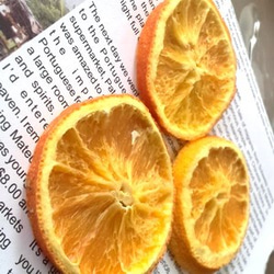 オレンジスライス３コ 2枚目の画像