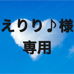 えりり♪様専用です！ 1枚目の画像