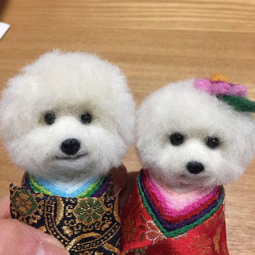 受注制作]ワン雛祭り ビションフリーゼのおひなさまセット着物(金蘭