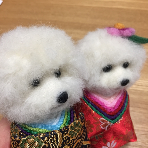 受注制作]ワン雛祭り ビションフリーゼのおひなさまセット着物(金蘭