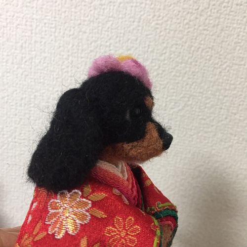 受注制作】ひな人形 キャバリアのお雛様セット 着物金蘭 羊毛