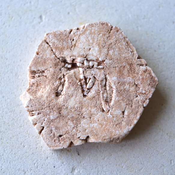 ドロマイト仮晶　ヘキサゴン　アメリカ産　41ｇ/鉱物・結晶原石 8枚目の画像