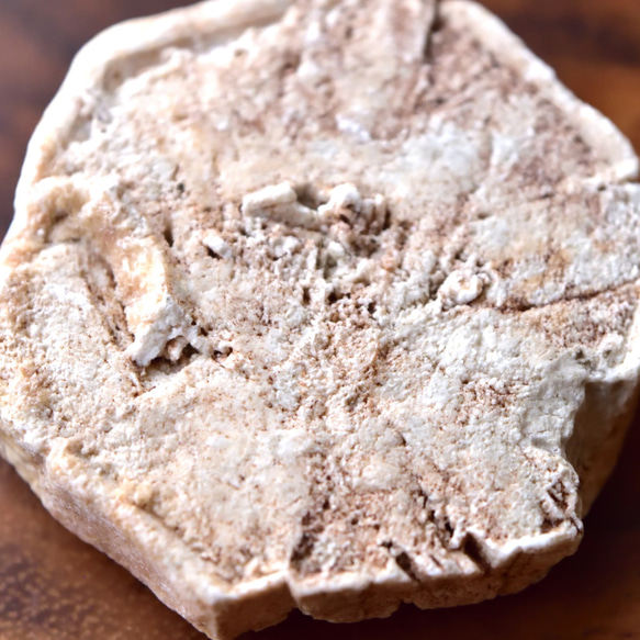 ドロマイト仮晶　ヘキサゴン　アメリカ産　39ｇ/鉱物・結晶原石 8枚目の画像