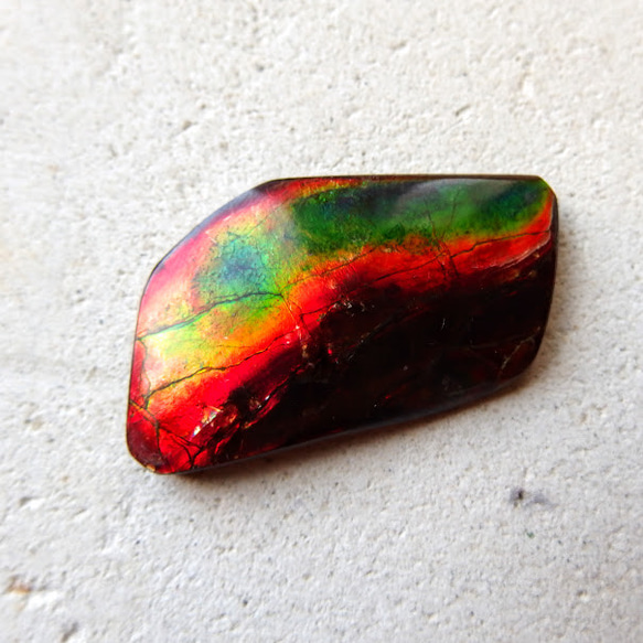 【希少】アンモライト ナチュラル ルース 幸運 希少> アンモライト ナチュラル ルース 幸運 希少> アンモライト