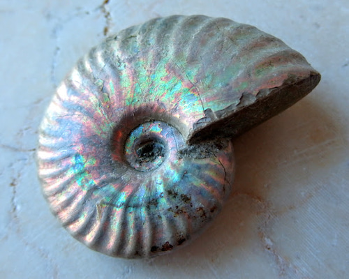 0_a50d326c8c7fb4d1d2490000421f