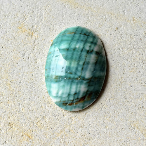 夜光貝 ヤコウガイ インドネシア産 海の王冠 21.5cts./ルース 