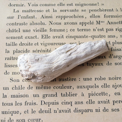 珪化木 木化石 フォッシルプレート 2 ペトリファイドウッド インテリア 珪化木 フォッシルプレート 2 ペトリファイドウッド インテリア