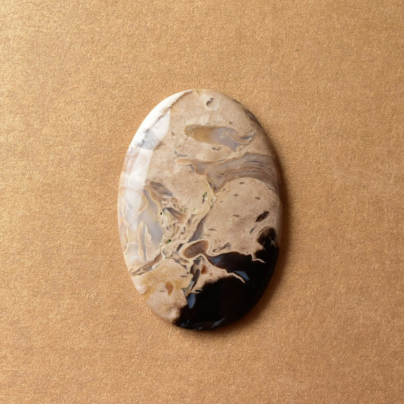 珪化木 ペトリファイドウッド インドネシア産 パームウッド 49.5cts