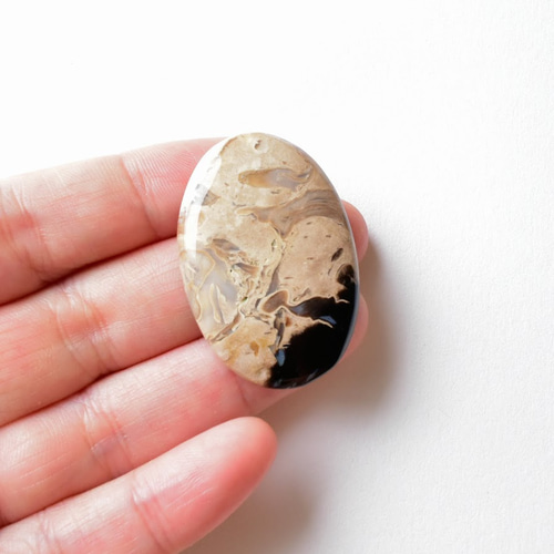 珪化木 ペトリファイドウッド インドネシア産 パームウッド 49.5cts