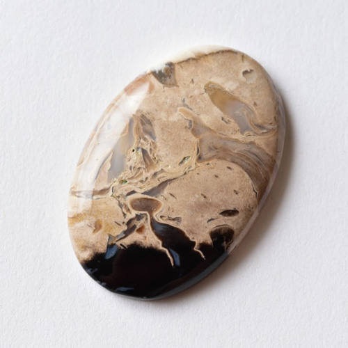 珪化木 ペトリファイドウッド インドネシア産 パームウッド 49.5cts