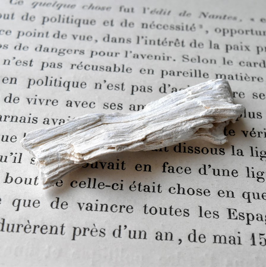 珪化木 ペトリファイドウッド 木の化石 アメリカ産 8.5g/ 化石