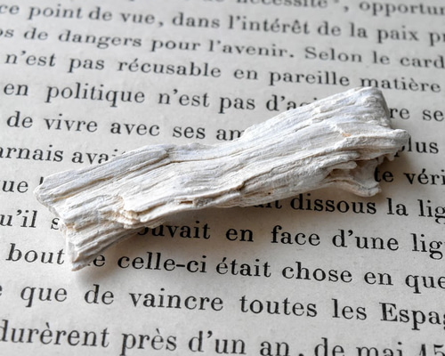 珪化木 ペトリファイドウッド 木の化石 アメリカ産 8.5g/ 化石