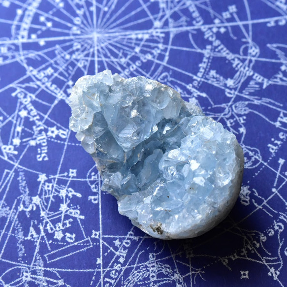 〈たま〉　スカラ➕神殿 たま〉 スカラ➕神殿 たま〉 スカラ➕神殿 Amazon.co.jp