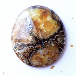 Shin Bill網站Ammonite·化石來自俄羅斯·烏里揚諾夫斯克91.5 cts./ Ruth·fossil 第8張的照片