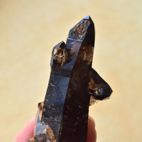 スモーキークォーツ・ポイント ドフィーネ式双晶 マラウィ・ムランジェ