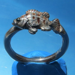 お魚シルバー　めばるリング（１７～３０号） 1枚目の画像