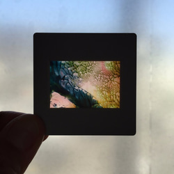 35mmのちいさな世界「けしきのスナップ」１２ 2枚目の画像