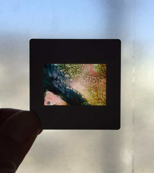35mmのちいさな世界「けしきのスナップ」１２ 2枚目の画像