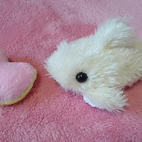定形外なら送料無料☆)真っ白イルカぬいぐるみ(ピンク×黄色