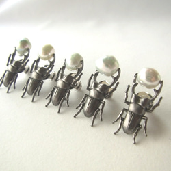 「beetles」　ピンズ 3枚目の画像