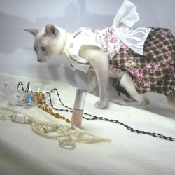 猫専用ウエア、ワンピース（ドレス風）かぶりタイプ。花、格子柄系、160227 5枚目の画像