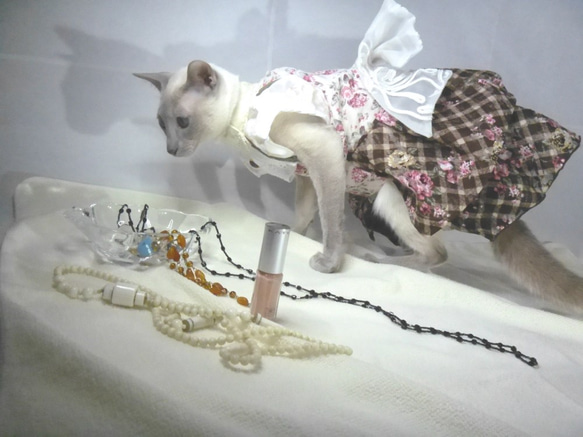 猫専用ウエア、ワンピース（ドレス風）かぶりタイプ。花、格子柄系、160227 5枚目の画像