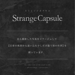 マルチ（多機種対応）対応◆iPhone、Android◆手帳型スマホケース│bug 6枚目の画像