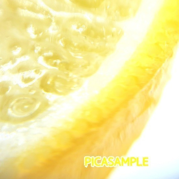 レモン（片面細工）小サイズ☆リアルな食品サンプルのフルーツイヤリング 6枚目の画像