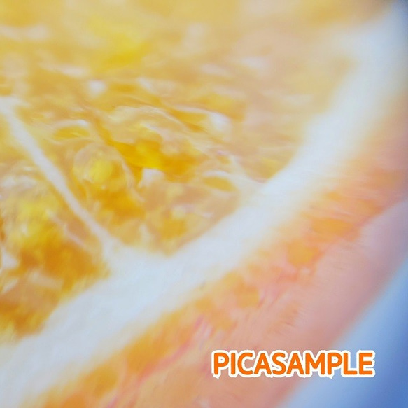 オレンジ（両面細工）大サイズ☆リアルな食品サンプルのフルーツイヤリング 5枚目の画像