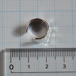 C-NewtBs - 銀と真鍮イモリのイヤーカフ 幅６mm <鏡面/ツヤ消し 選択可> 5枚目の画像