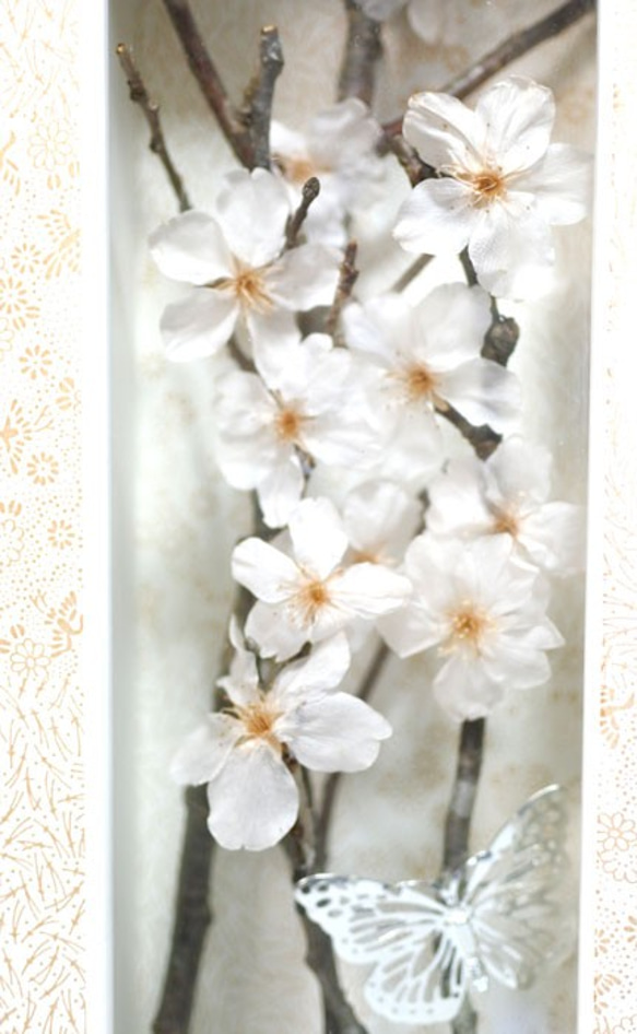プリザーブドフラワーの桜フレーム 2枚目の画像