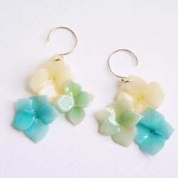 紫陽花 ピアス/イヤリング 037 2枚目の画像